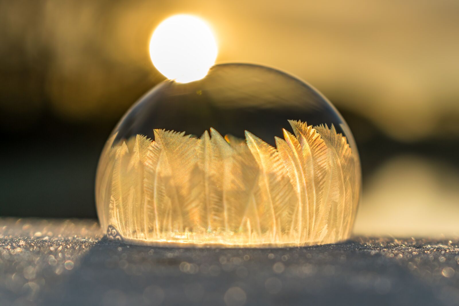 Nikon D5300 sample photo. Soap bubble, soapbubble, ice photography