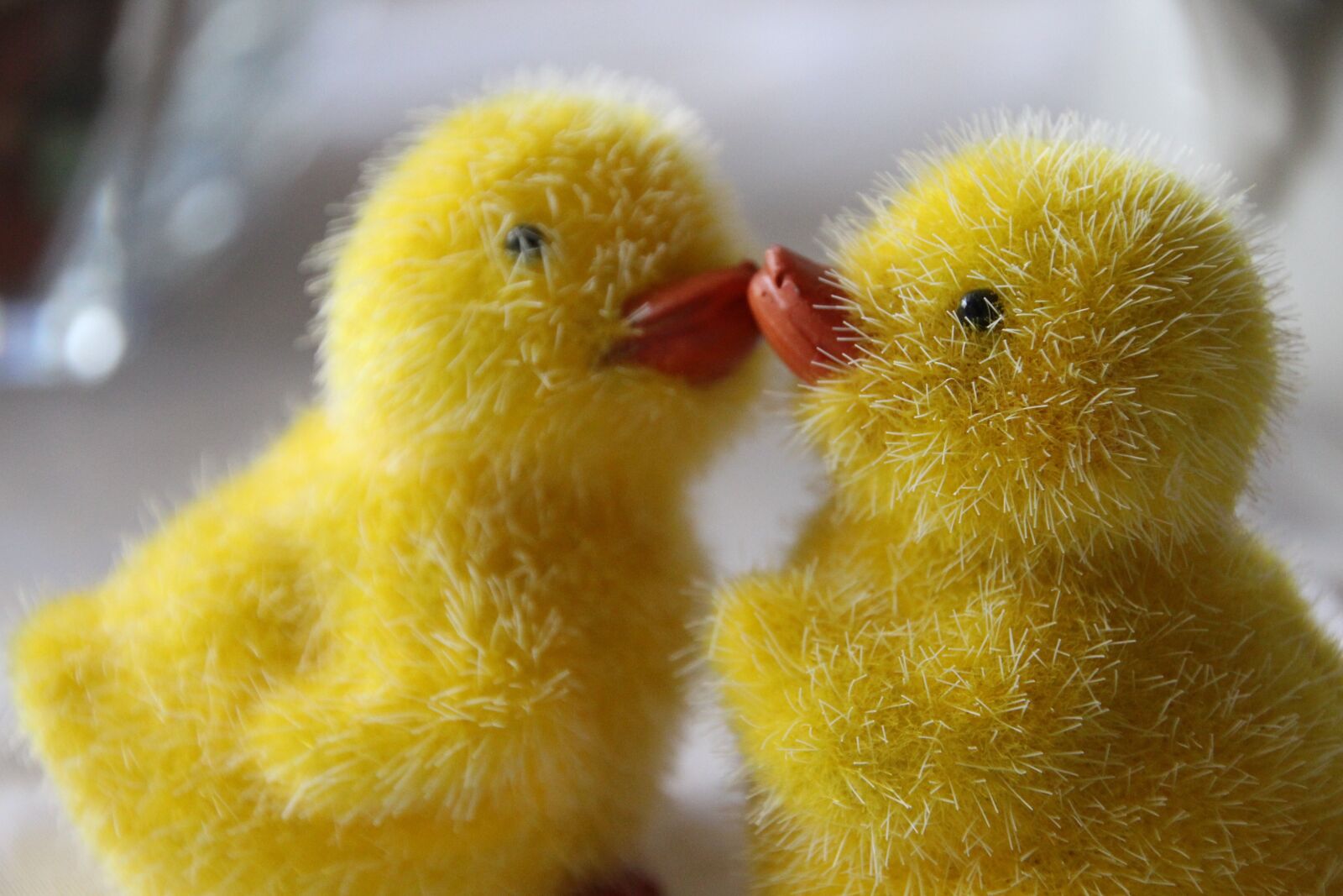Canon EOS 700D (EOS Rebel T5i / EOS Kiss X7i) sample photo. Easter, easter chick, funny photography