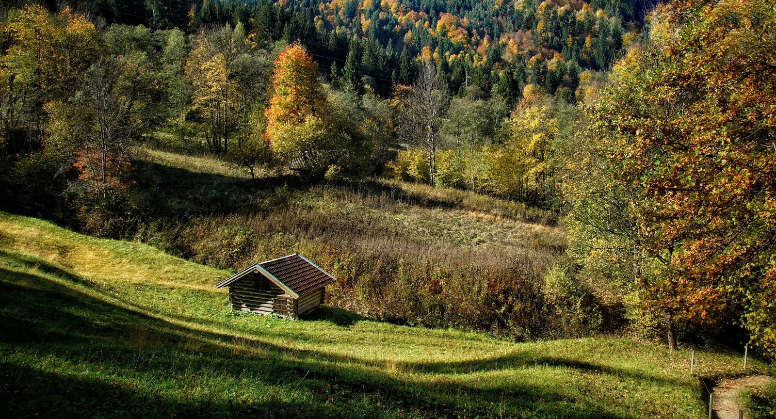 Nikon D3000 sample photo. Autumn, landscape, nature photography