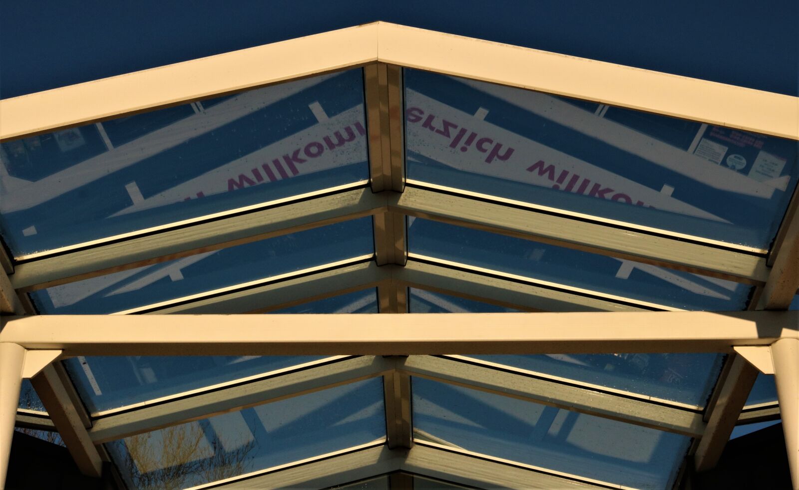 Canon EF 35mm F2 IS USM sample photo. Canopy, mirroring the font photography