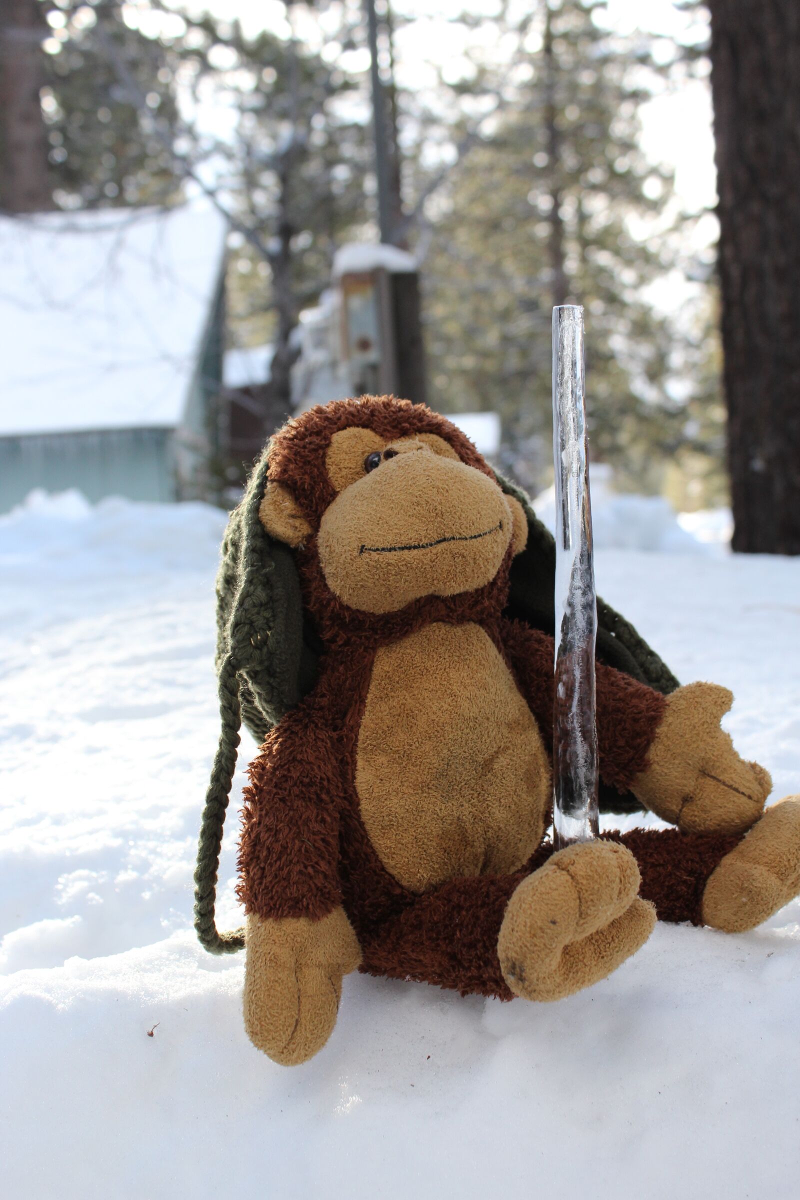 Canon EOS 1200D (EOS Rebel T5 / EOS Kiss X70 / EOS Hi) sample photo. Stuffed animal, monkey, snow photography