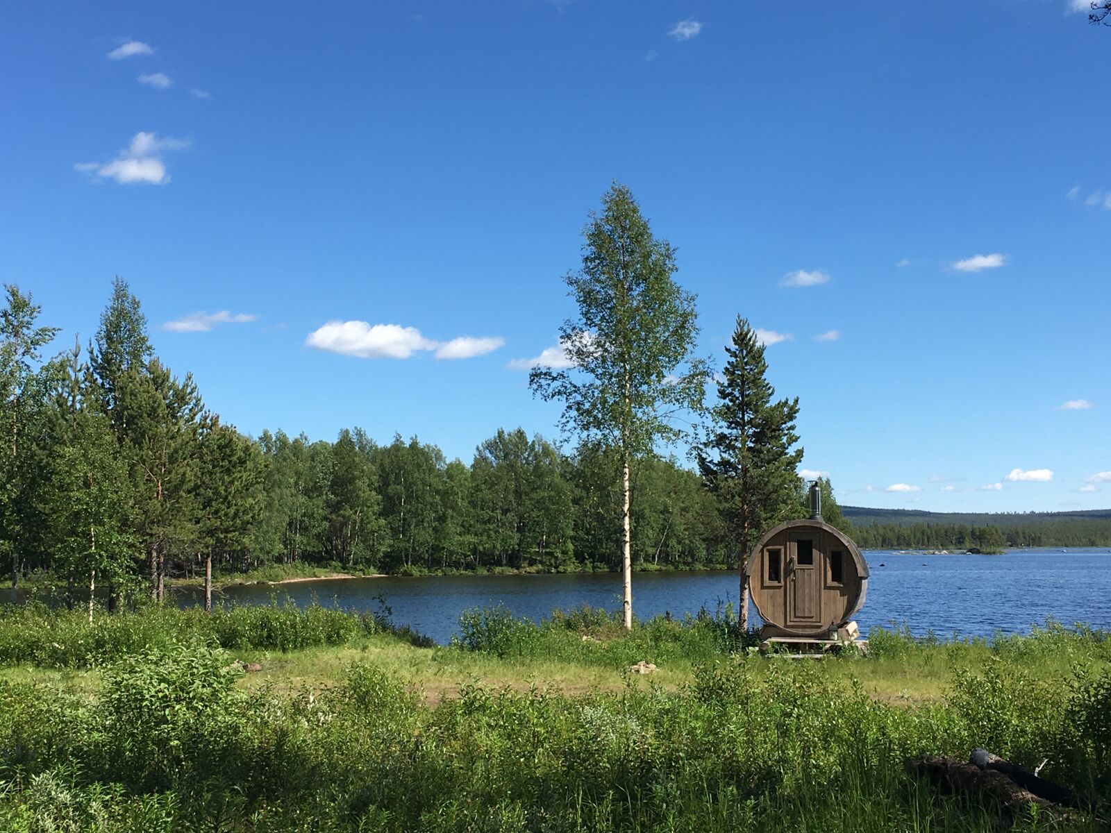 Apple iPhone 6s sample photo. Sweden, midsommar, nature photography