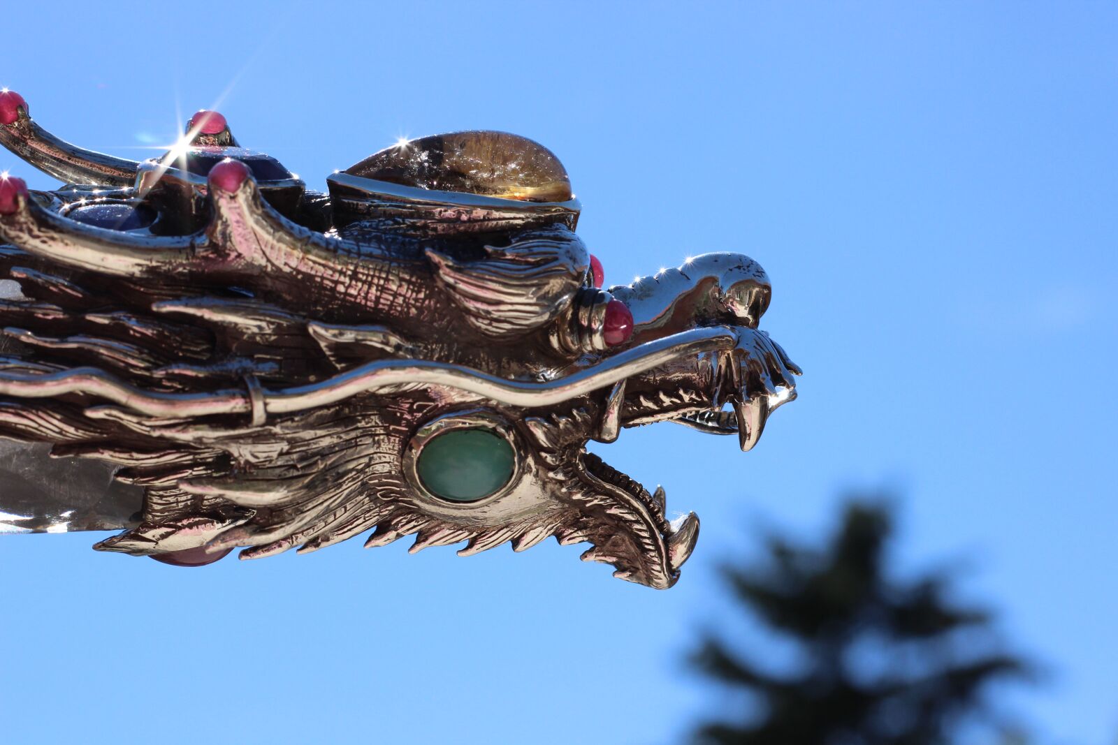 Canon EOS 600D (Rebel EOS T3i / EOS Kiss X5) + Canon EF 50mm F1.8 STM sample photo. Head, of, dragon photography