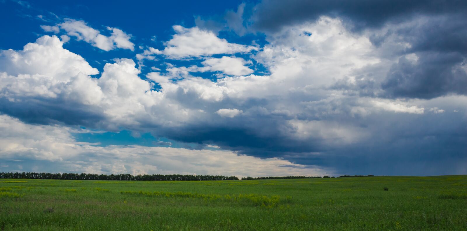 Canon EOS 650D (EOS Rebel T4i / EOS Kiss X6i) sample photo. Nature, horizon, landscape photography