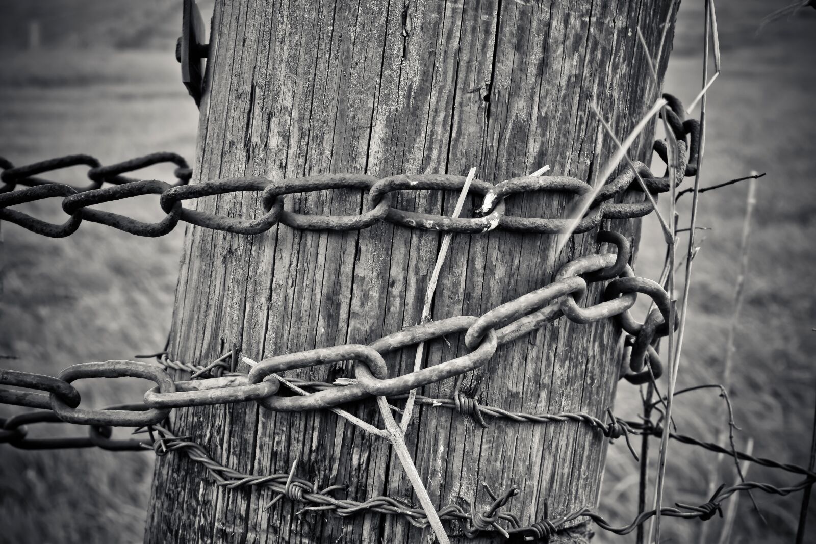 Nikon D3300 sample photo. Chain, wood, metal photography