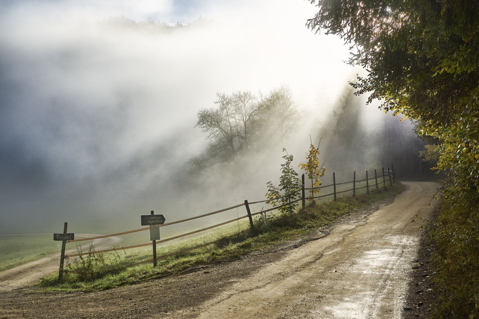 Sony ILCA-77M2 sample photo. Fog, danube, landscape photography