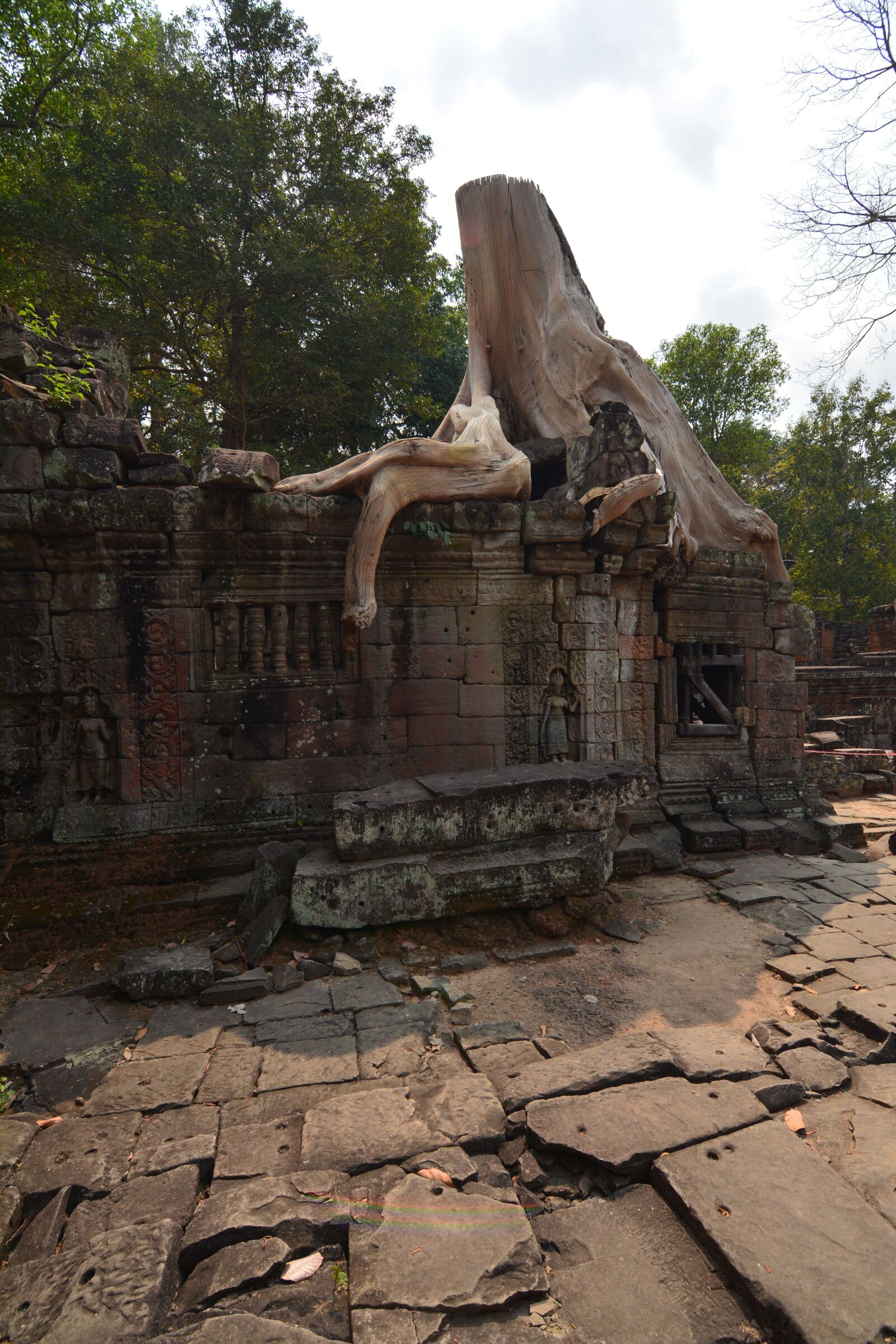 Nikon D7100 sample photo