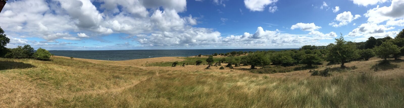 iPhone SE back camera 4.15mm f/2.2 sample photo. Landscape, grass, eng photography