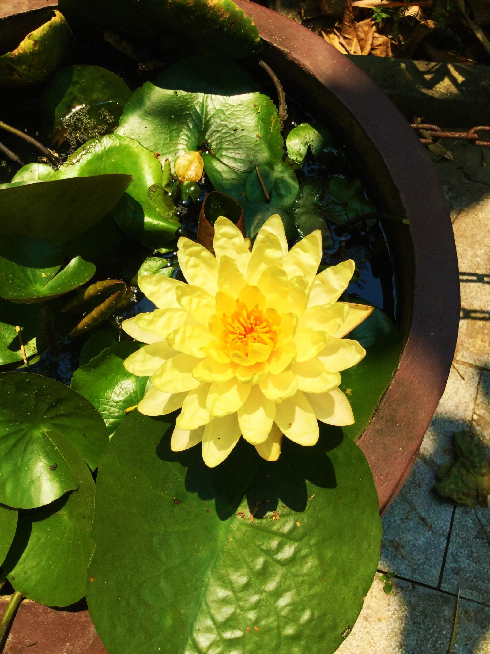 Apple iPad Air 2 sample photo