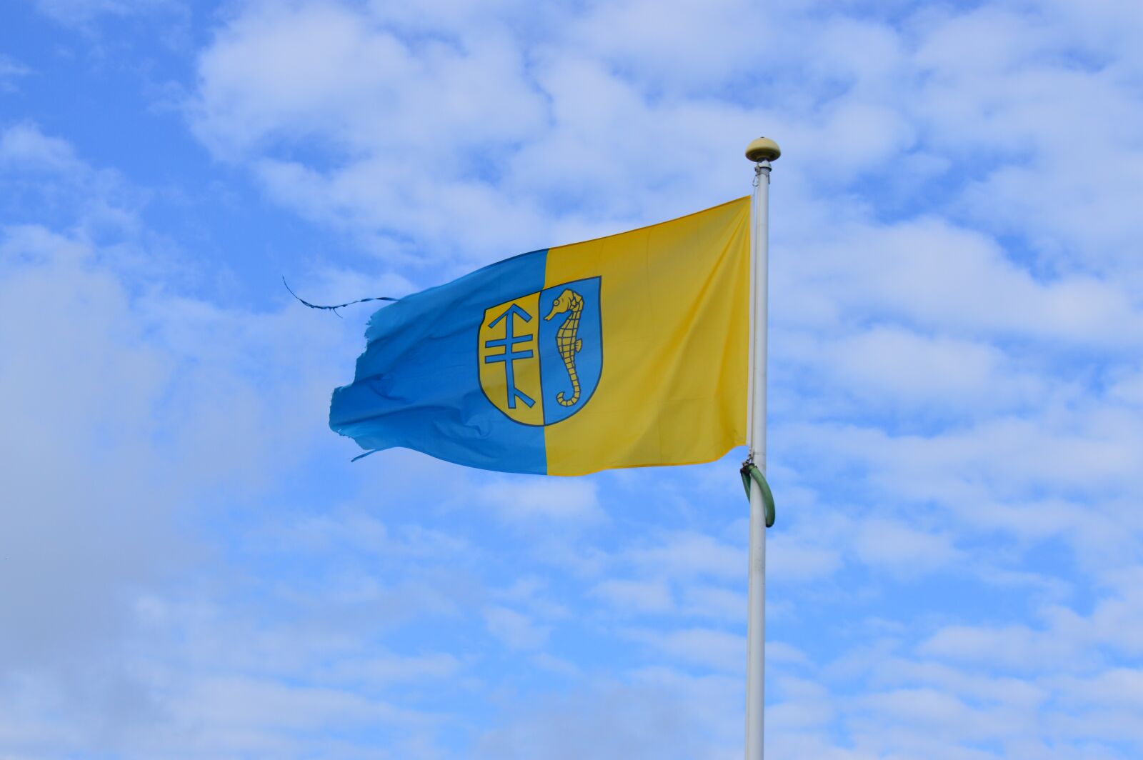 Nikon D3200 sample photo. Hiddensee, flag, coat of photography