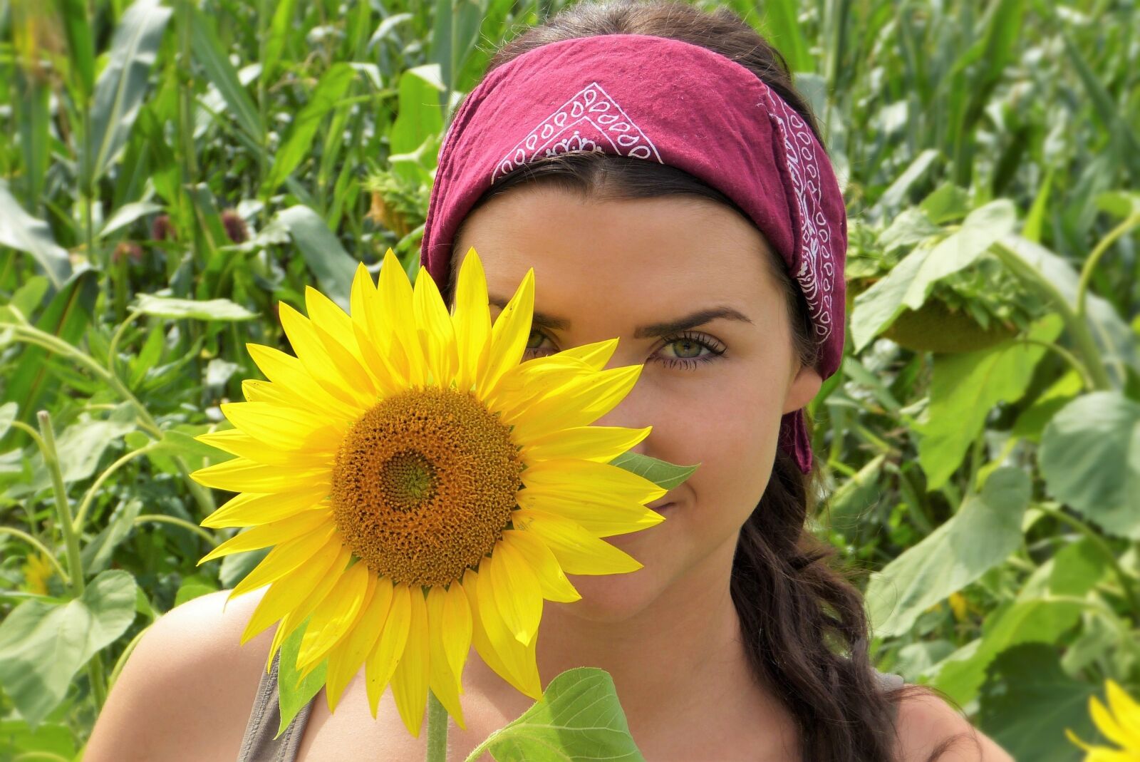 Panasonic Lumix DMC-FZ150 sample photo. Sunflower, girl, face photography