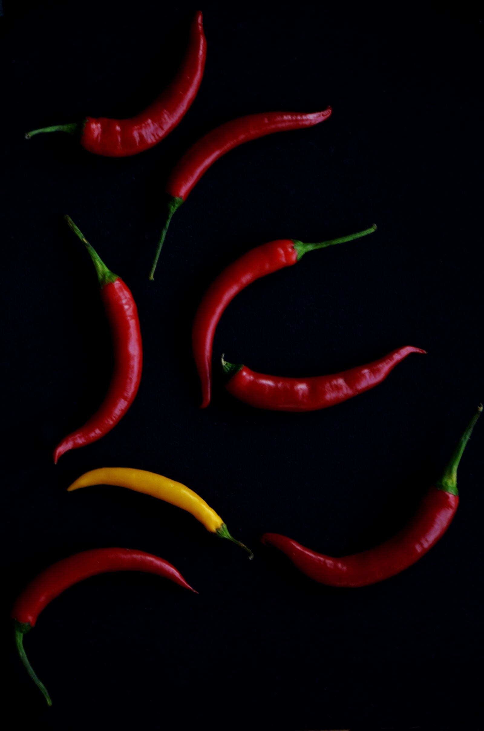 Nikon D5100 sample photo. Pepper, red photography