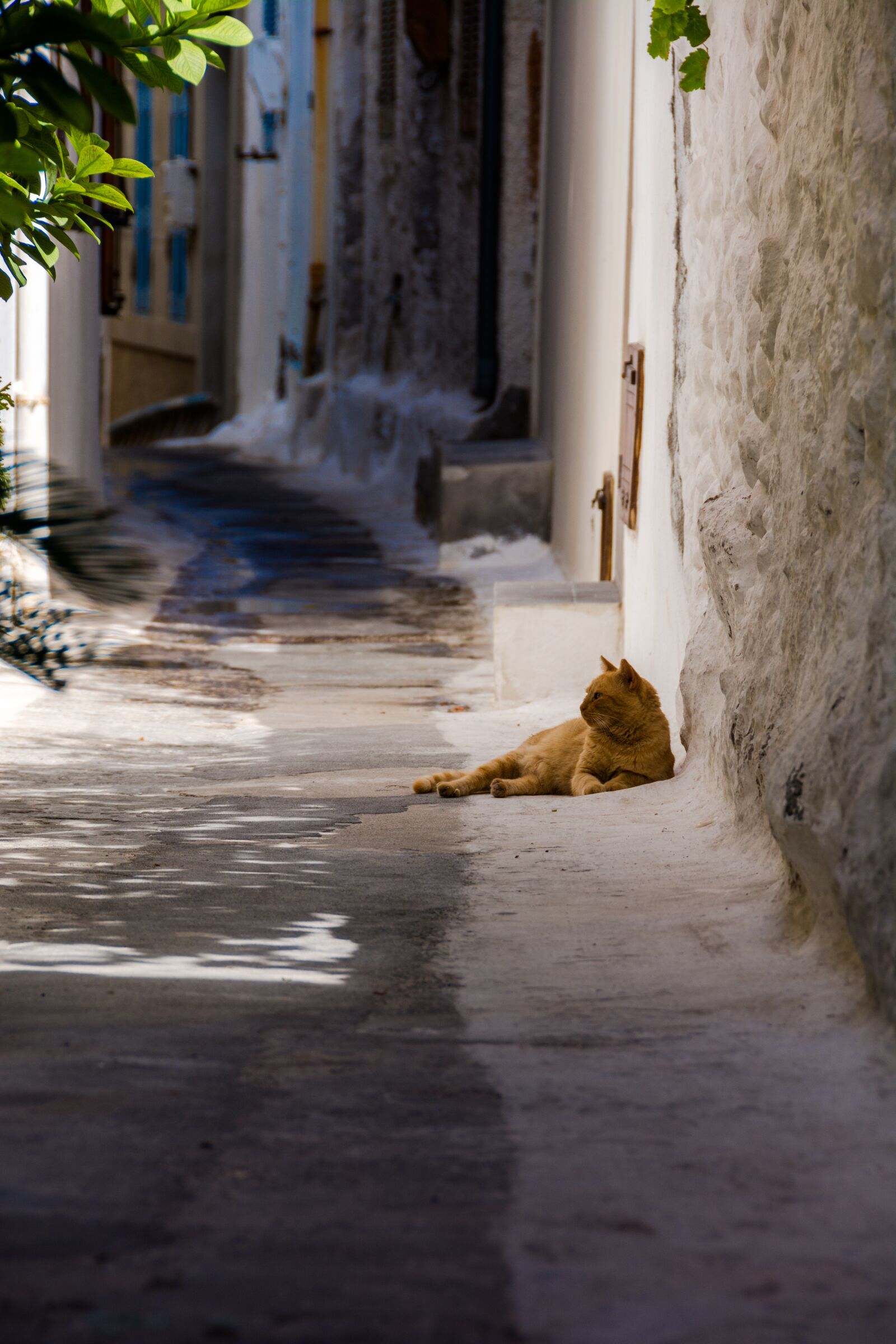Nikon D7100 sample photo. Nisyros, mandraki, the sun photography