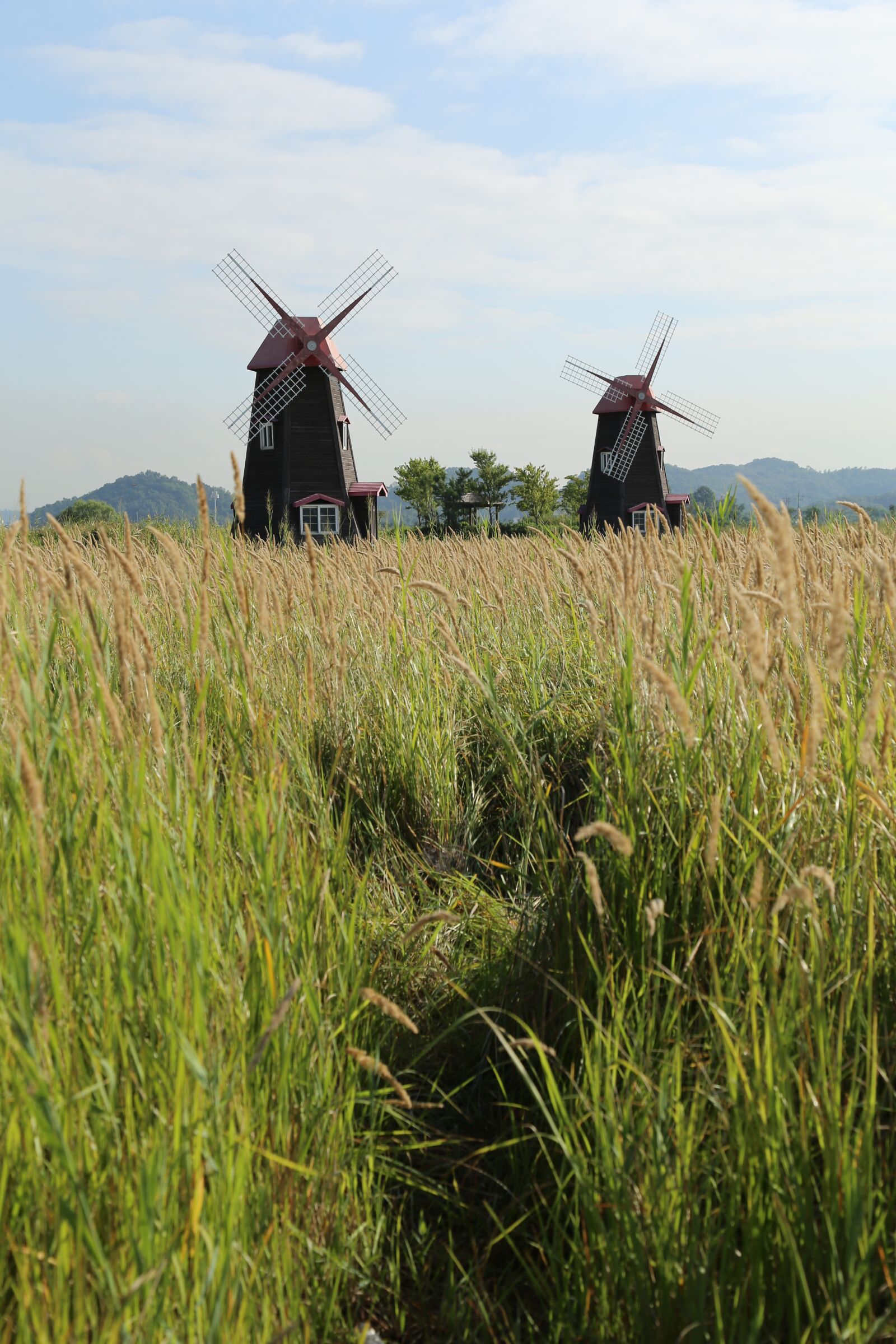 Canon EOS 6D + Canon EF 24-105mm F4L IS USM sample photo. Windmill, nature, landscape photography