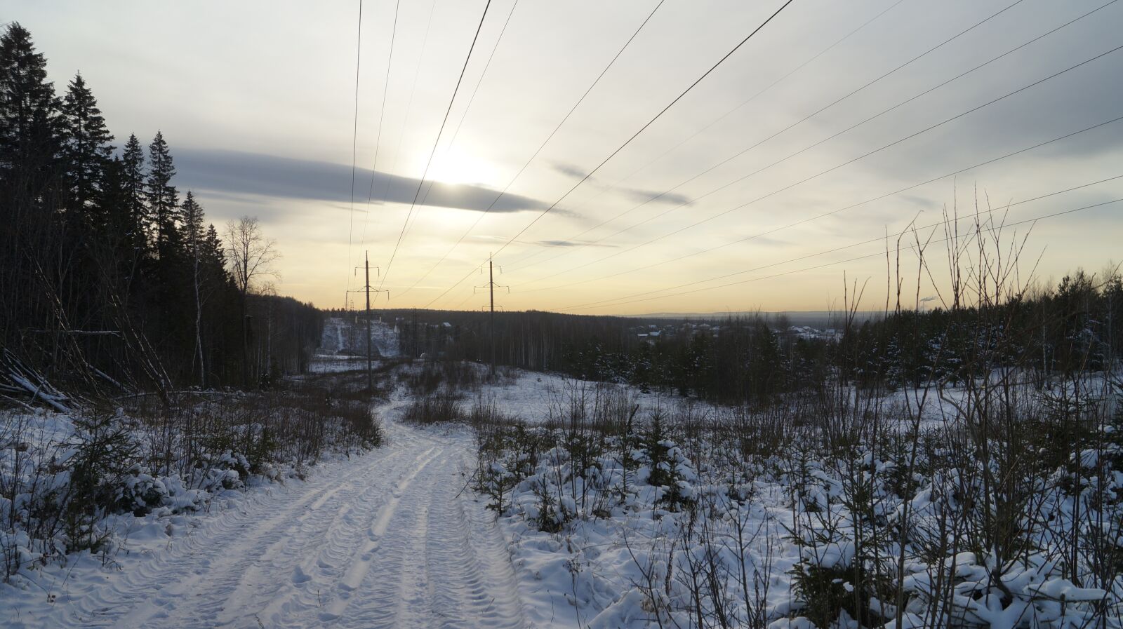 Sony SLT-A57 sample photo. Winter, frost, silence photography