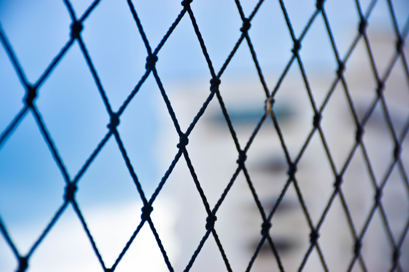 Nikon D5300 sample photo. Steel, iron, wire photography