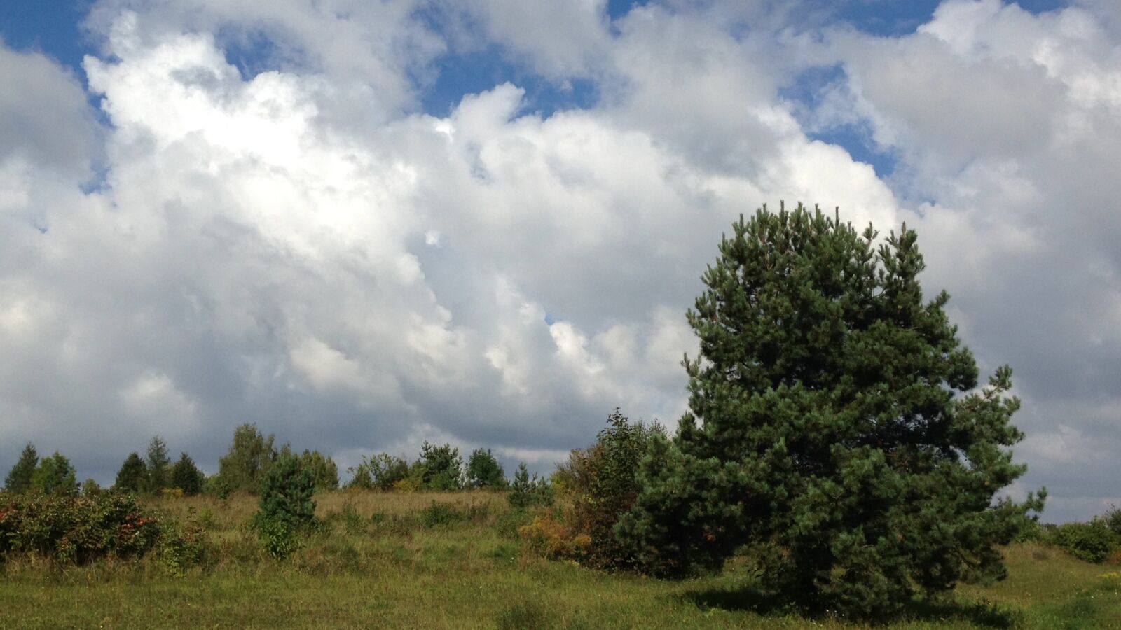 iPhone 5c back camera 4.12mm f/2.4 sample photo. Clouds, landscape, sky photography