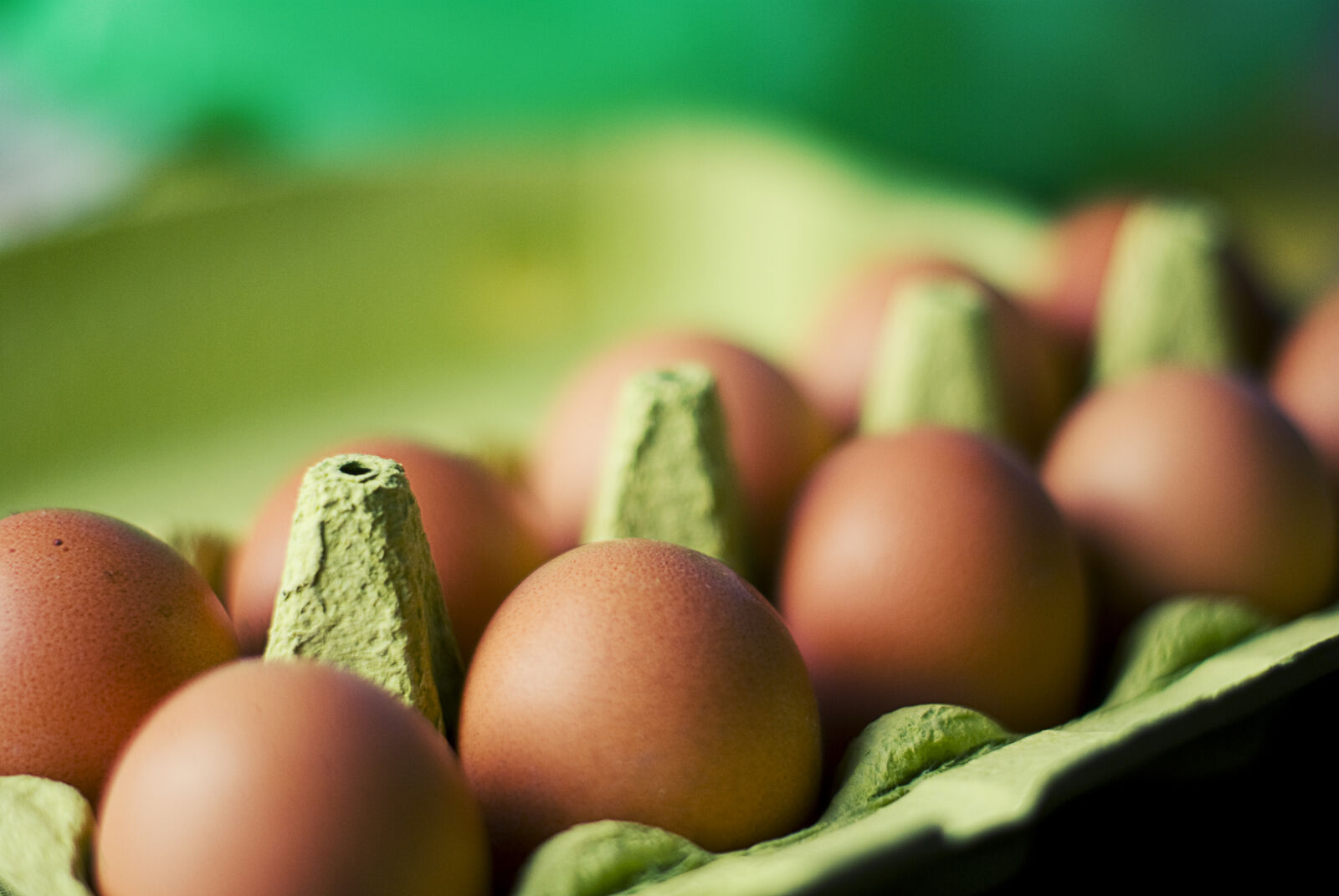 Nikon D60 sample photo. Tray, of, eggs photography