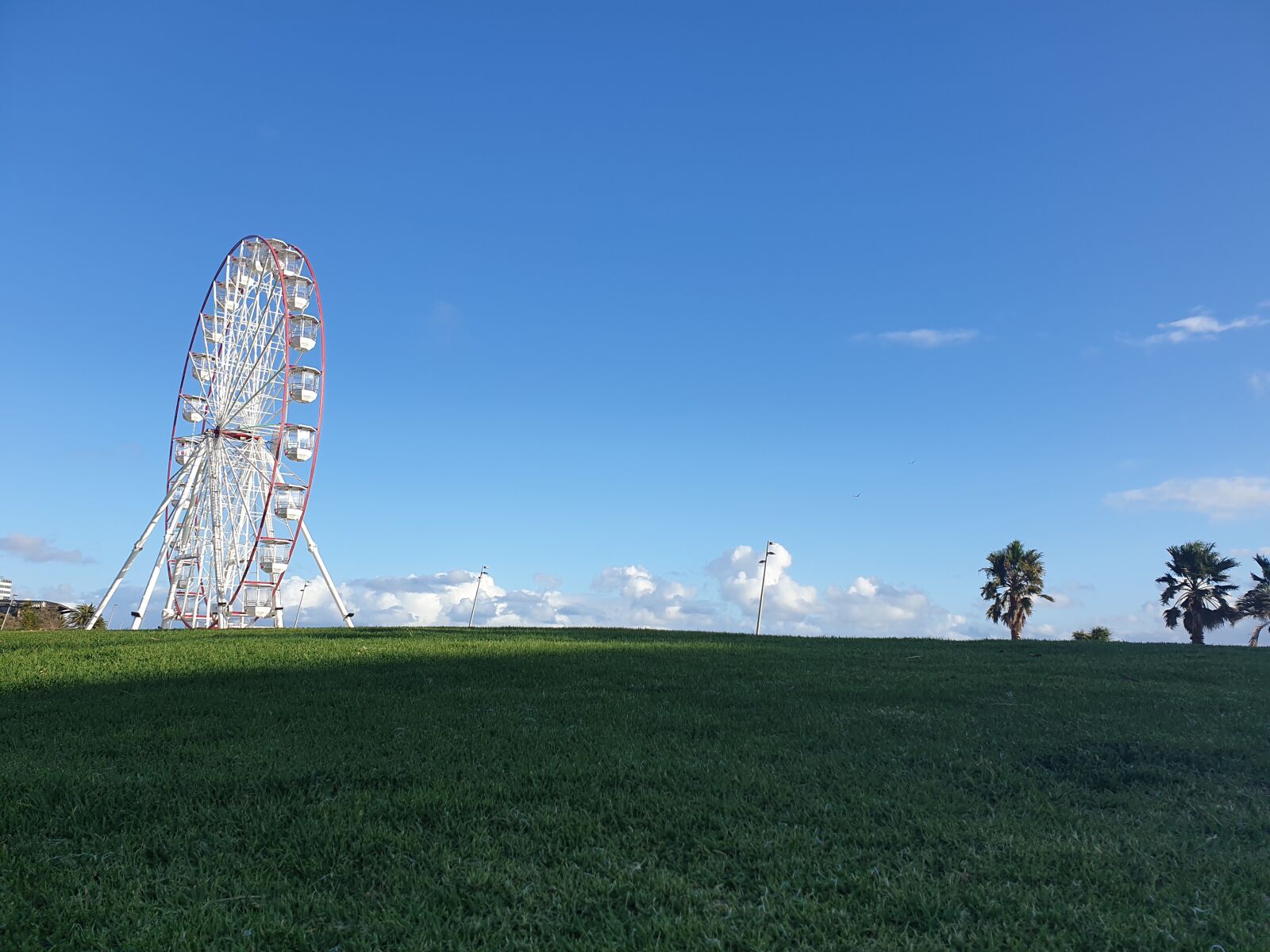 Samsung Galaxy Note9 sample photo. Ferris, grass, outside photography