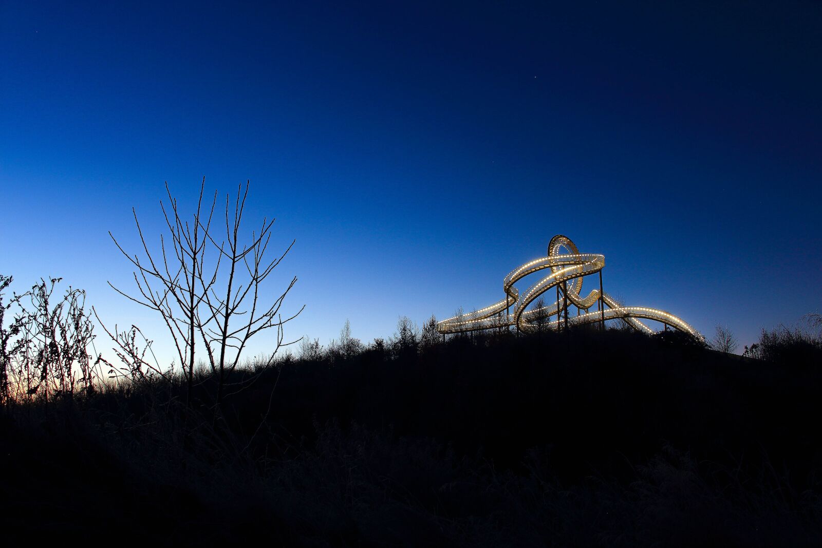 Canon EOS 100D (EOS Rebel SL1 / EOS Kiss X7) sample photo. Tiger and turtle, magic photography