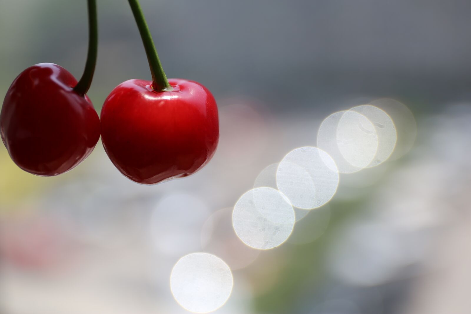 Canon EF 24-70mm F4L IS USM sample photo. Cherry, fruit, joy photography