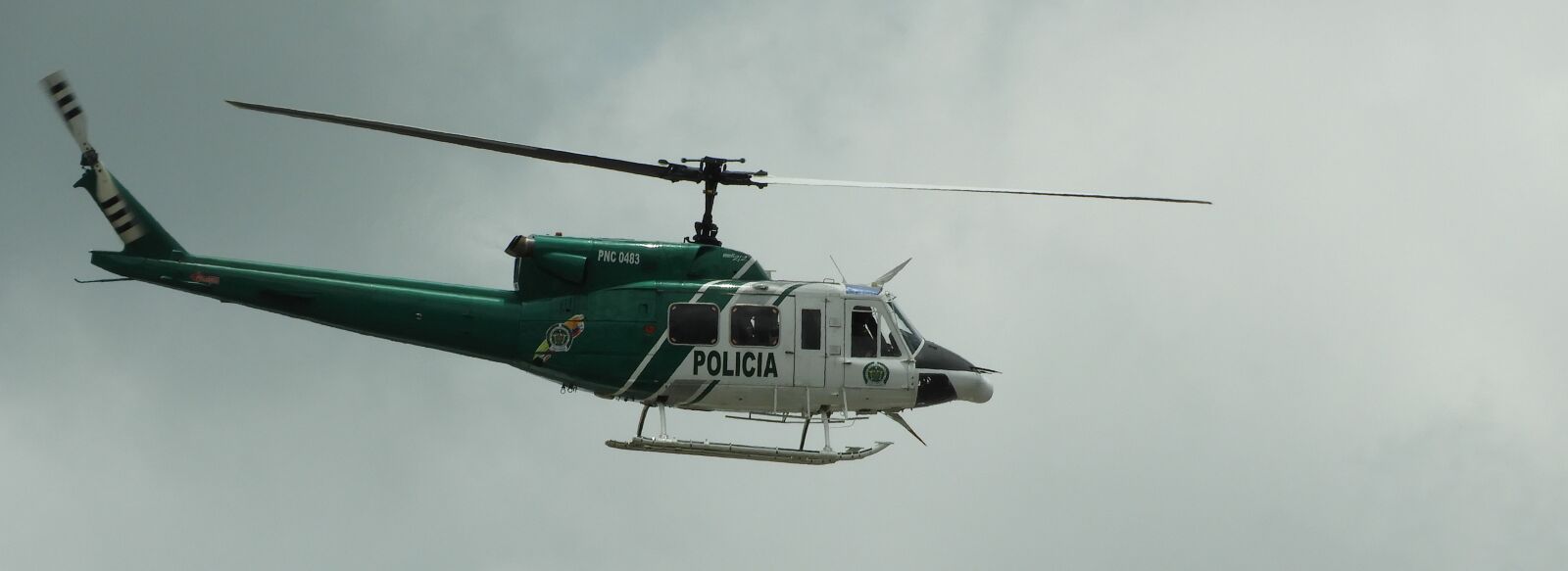 Nikon Coolpix B700 sample photo. Helicopter, branch of the photography