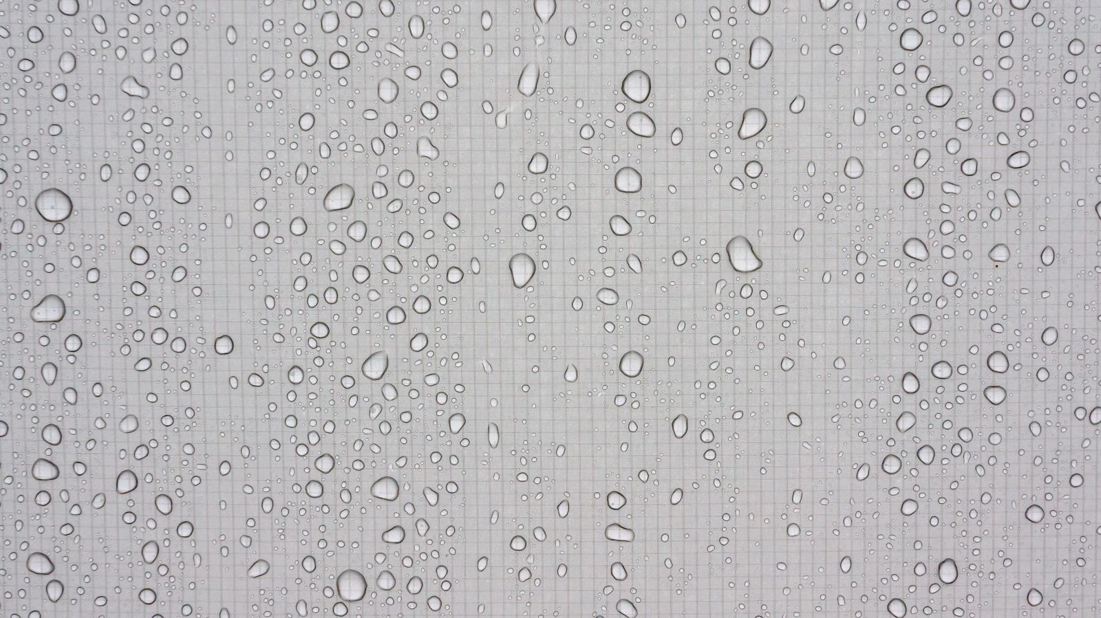 Sony Alpha NEX-5N sample photo. Trickle, dew, wet photography