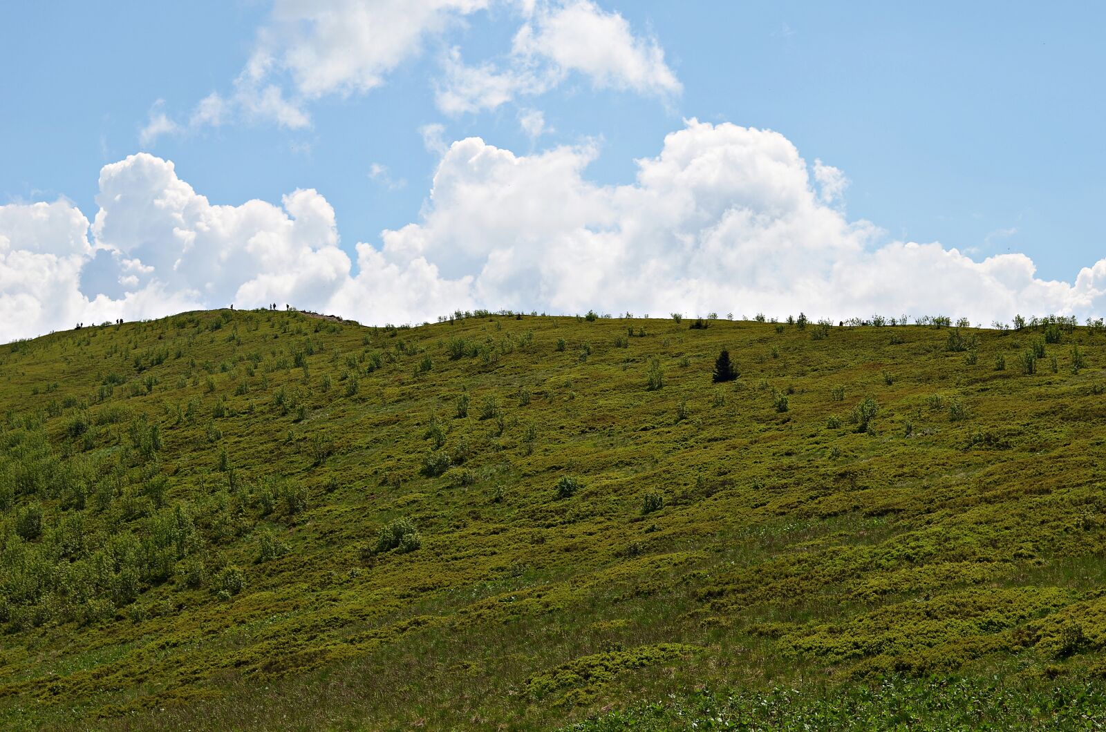 Nikon D5100 sample photo. Rock, mountains, landscape photography