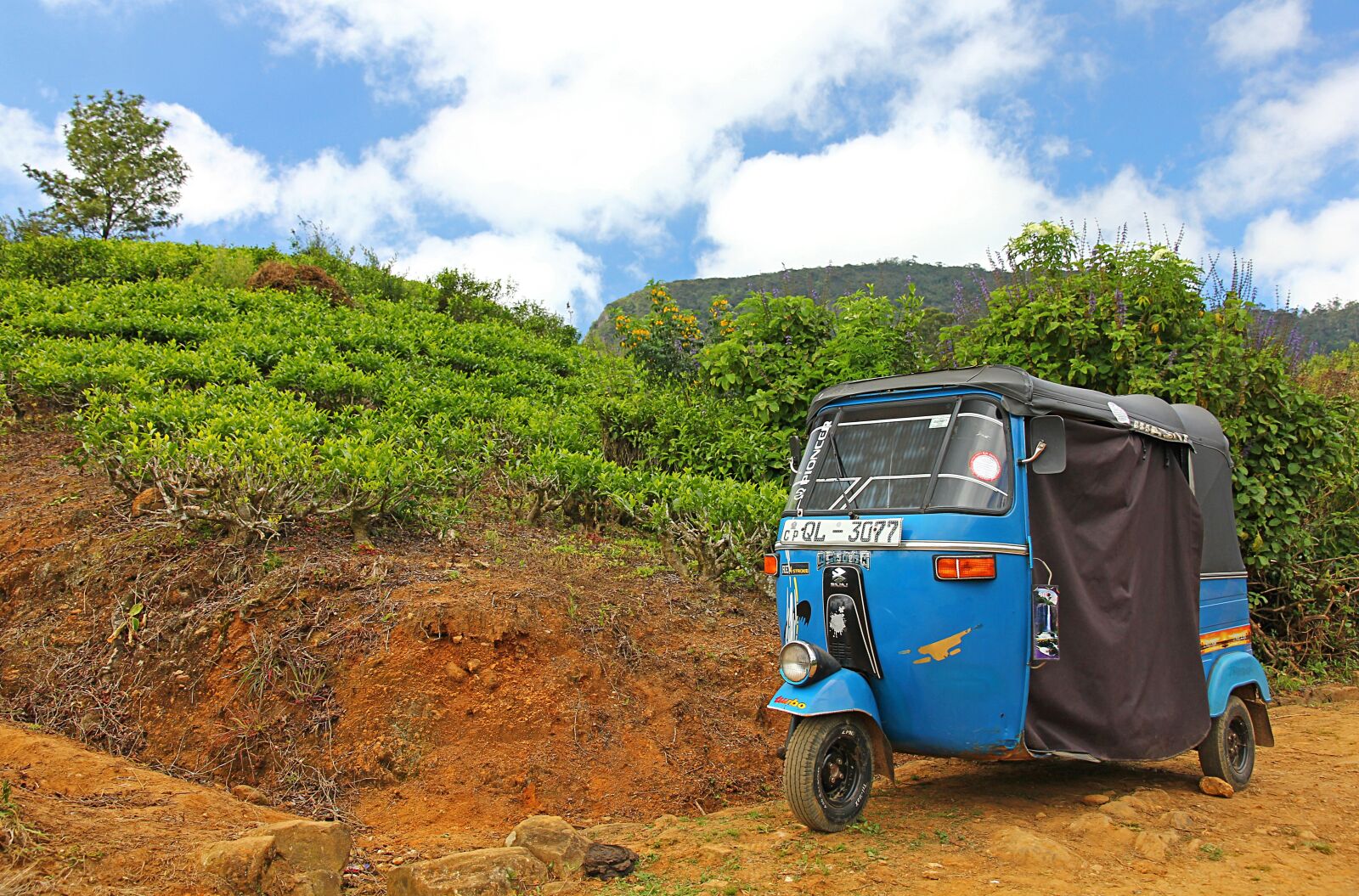 Canon EOS 60D + Canon EF-S 15-85mm F3.5-5.6 IS USM sample photo. Tuk-tuk, tricycle, plantation photography