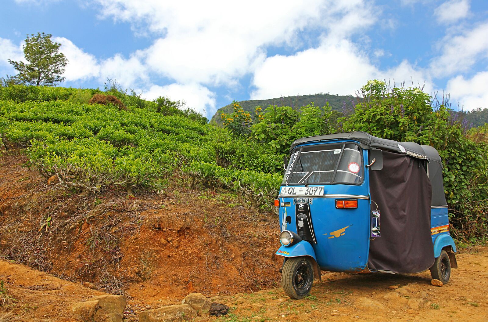 Canon EOS 60D sample photo. Tuk-tuk, tricycle, plantation photography