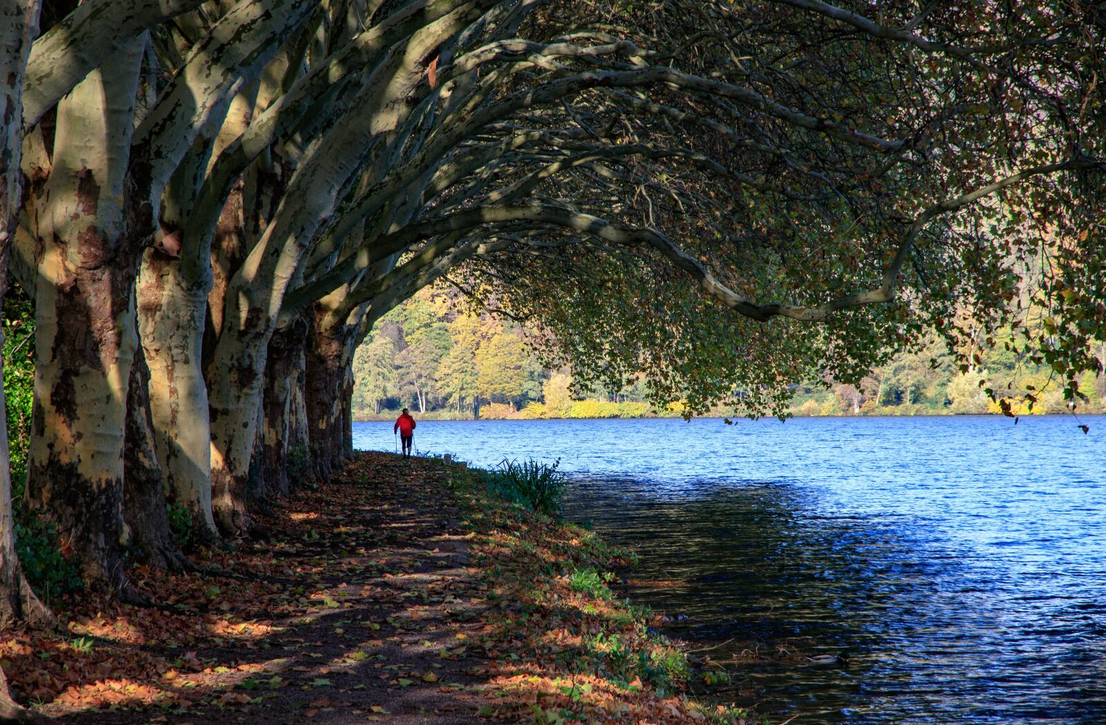 Canon EOS 80D sample photo. Baldeneysee, eat, lake photography