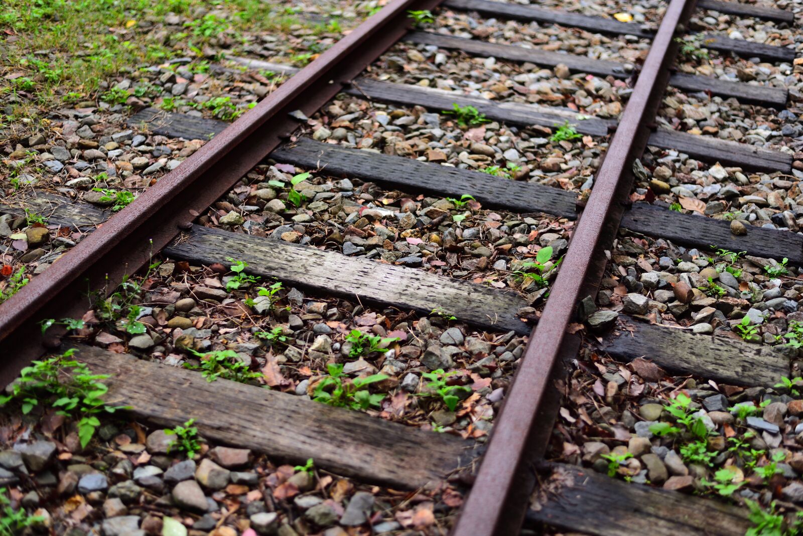 Nikon D750 sample photo. Rail, railway, tracks photography