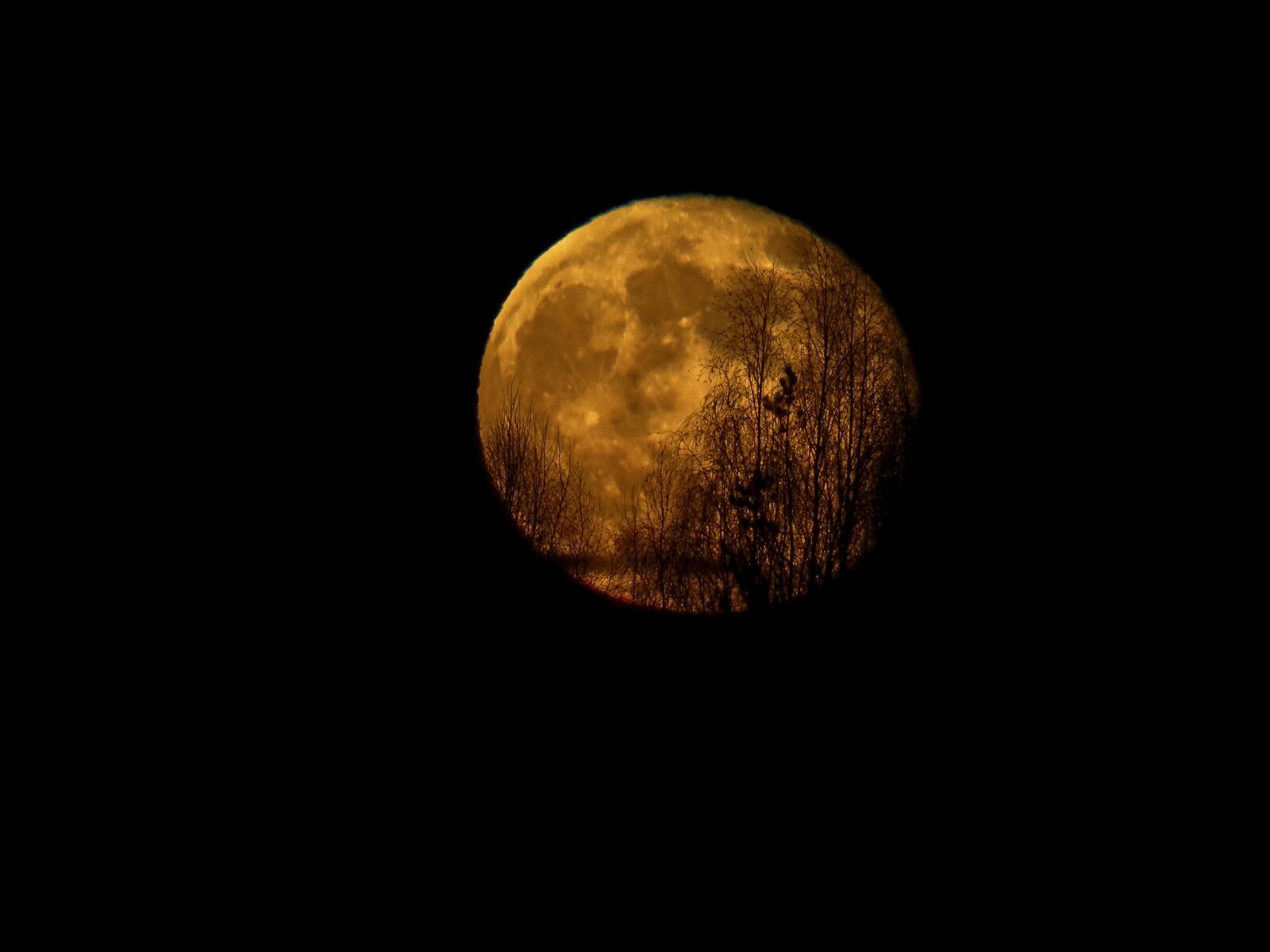 Canon PowerShot SX60 HS sample photo. Moon, moonrise, yellow photography