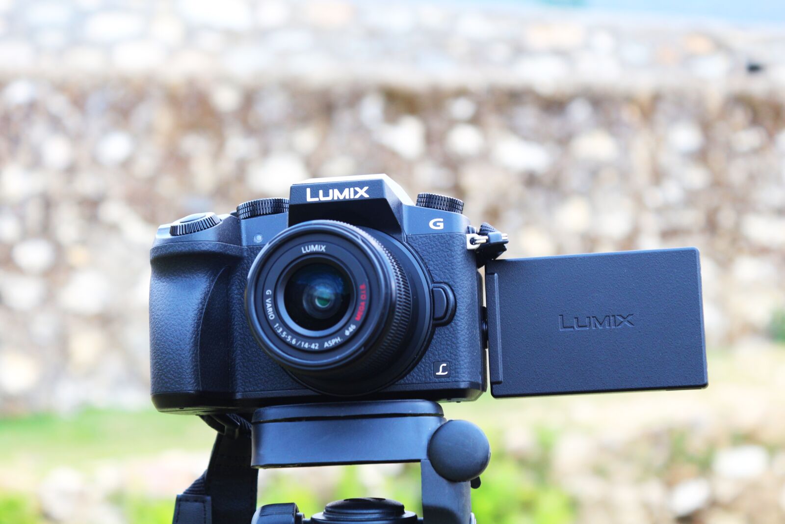 Canon EOS 700D (EOS Rebel T5i / EOS Kiss X7i) sample photo. Dslr, camera, digital photography