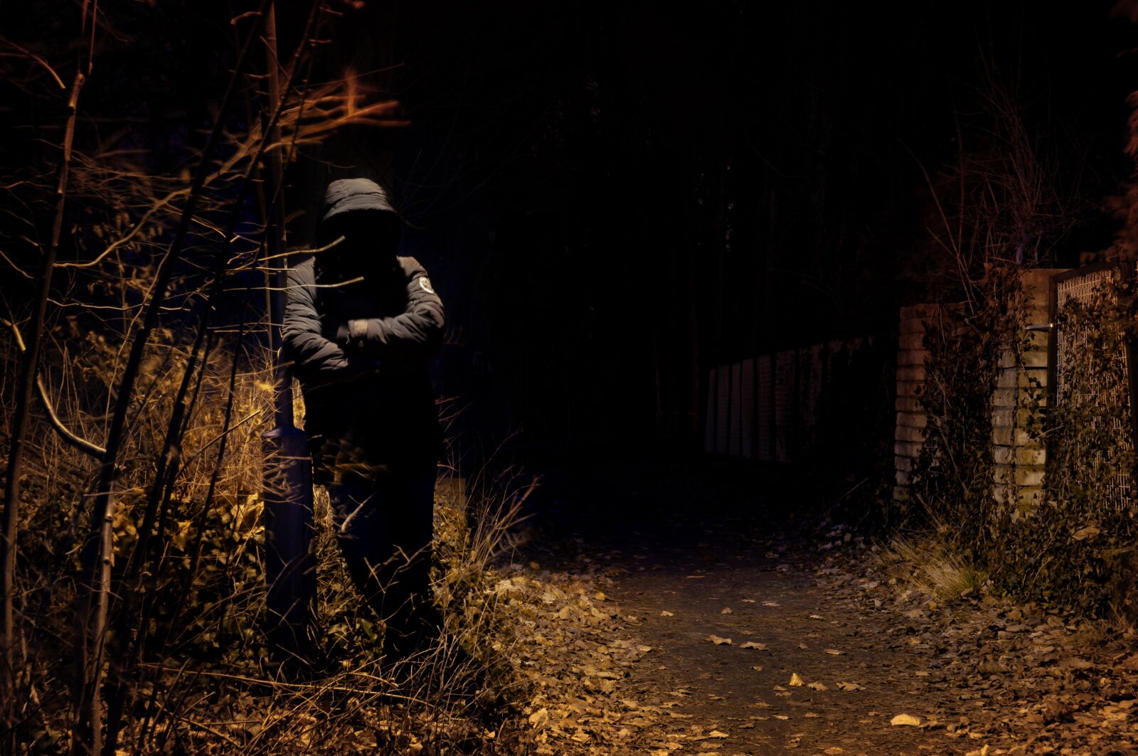 Nikon D5000 sample photo. Violent, criminal, crime photography