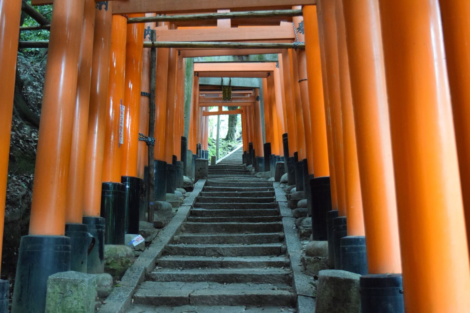 Nikon D3300 sample photo. Kyoto, fushimi inari shrine photography
