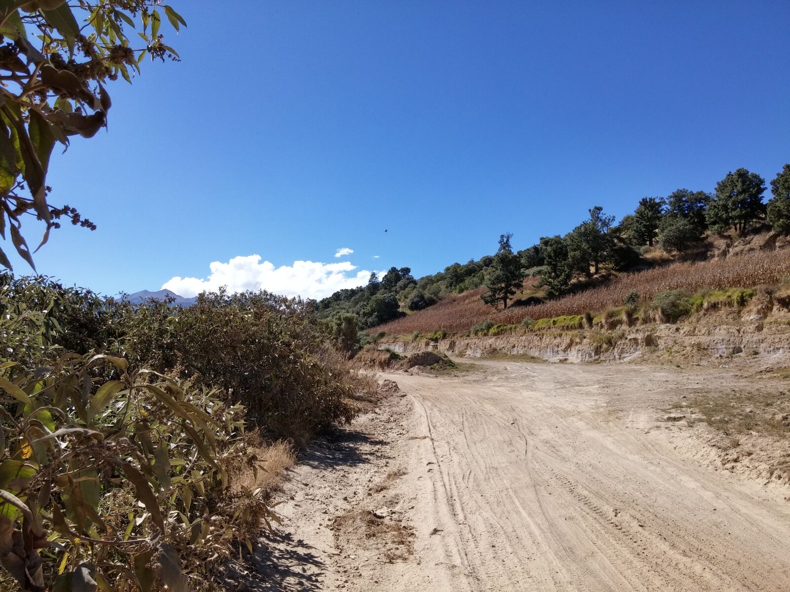 LG D855 sample photo. Road, outdoor, sunlight photography