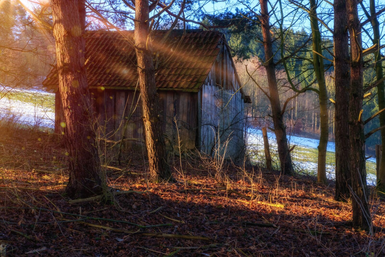 Fujifilm X-T2 + Fujifilm XF 35mm F2 R WR sample photo. Hut, cottage, scale photography
