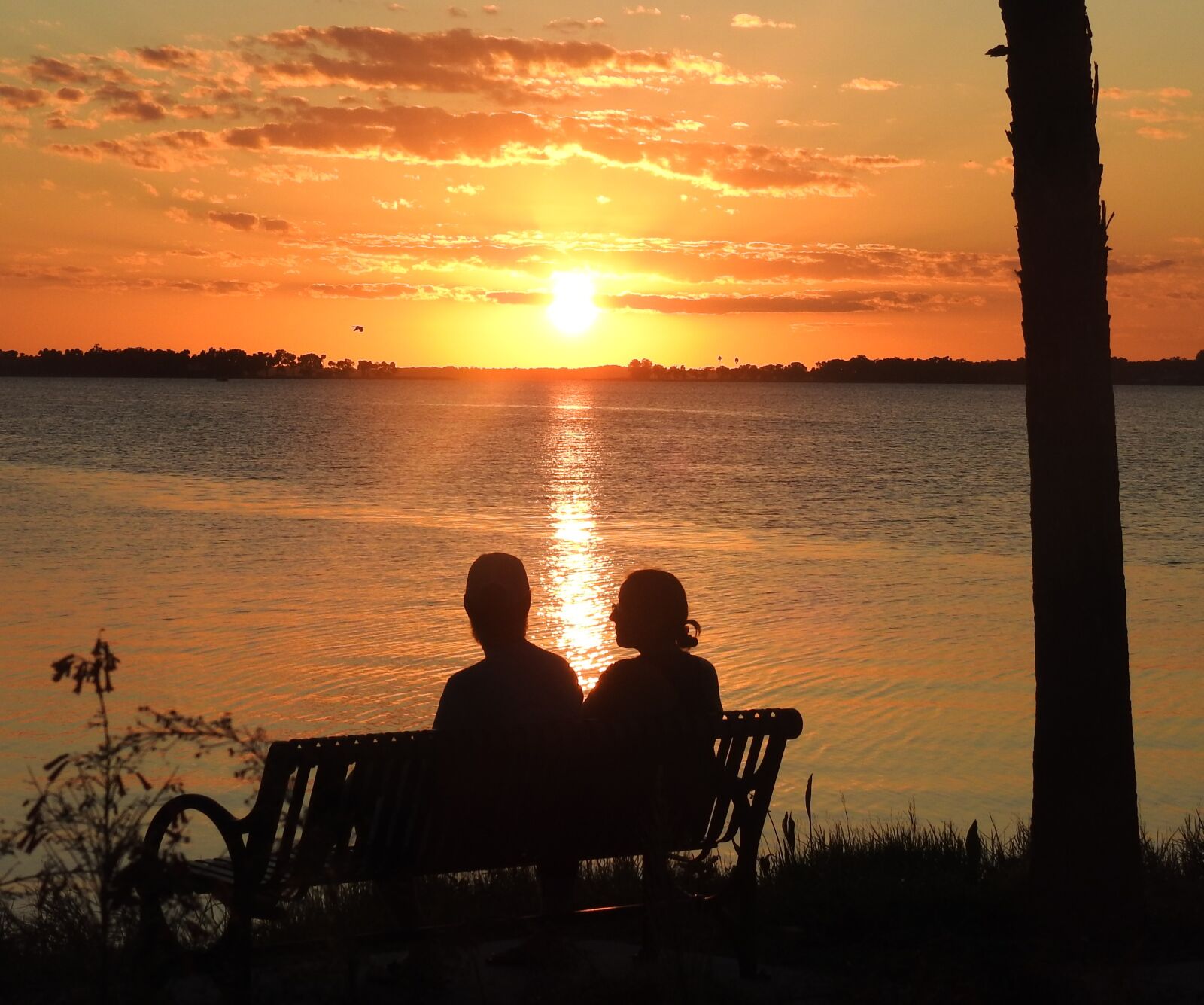 Nikon Coolpix P900 sample photo. Sunset, lake, evening photography