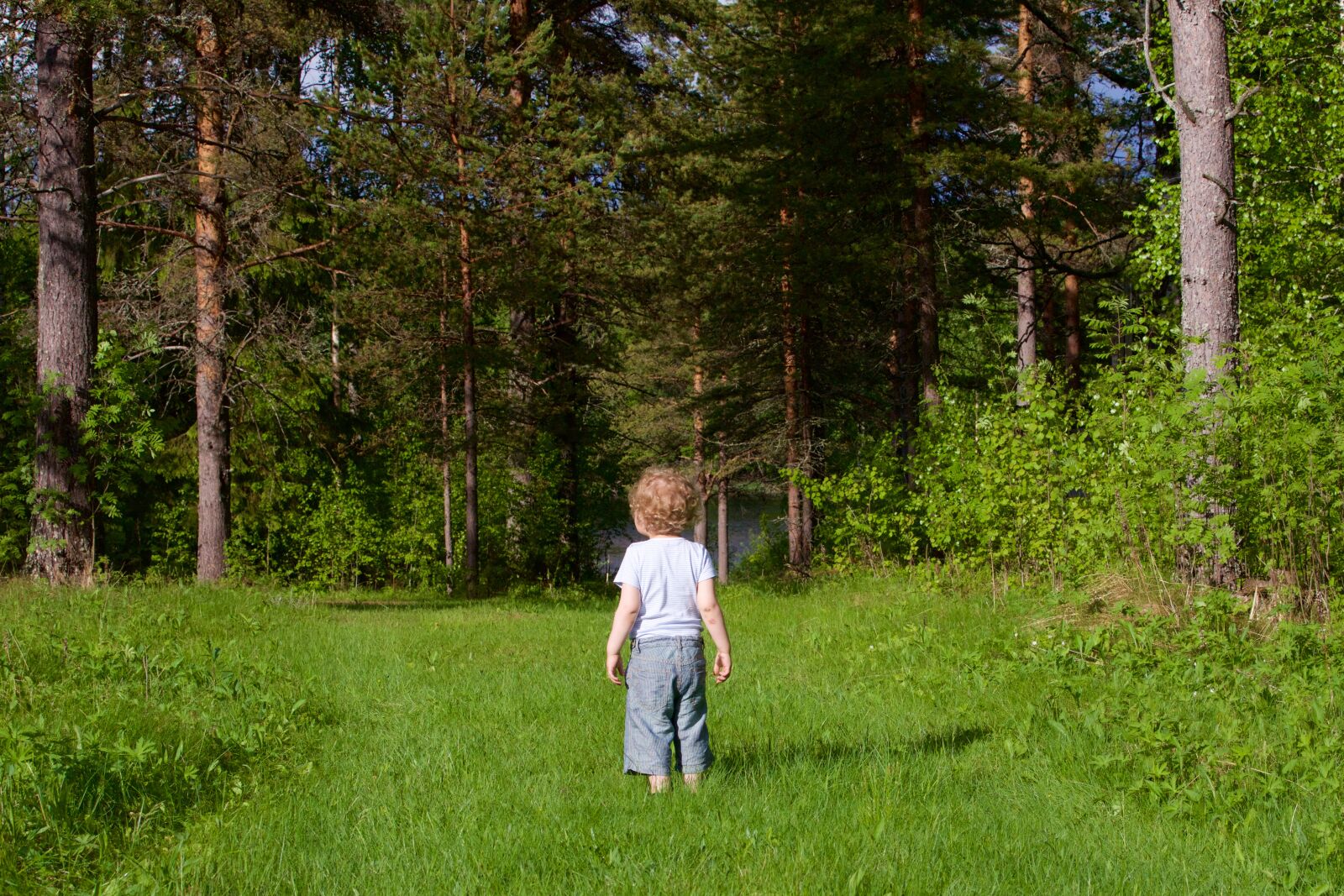 Canon EOS 5D Mark III sample photo. Child, wood, forest photography