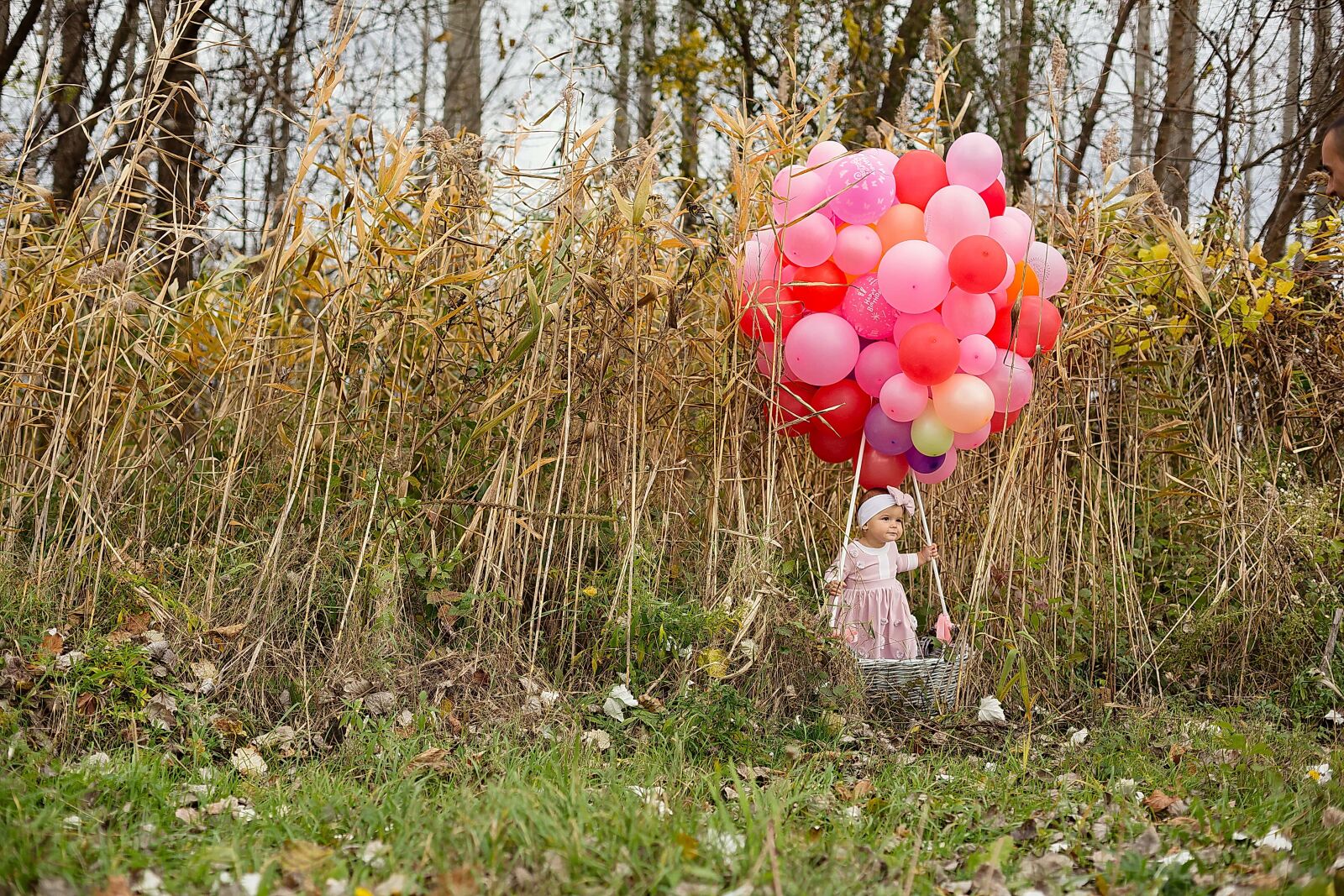 Canon EF 50mm F1.4 USM sample photo. Baby, balloon, toddler, wicker photography