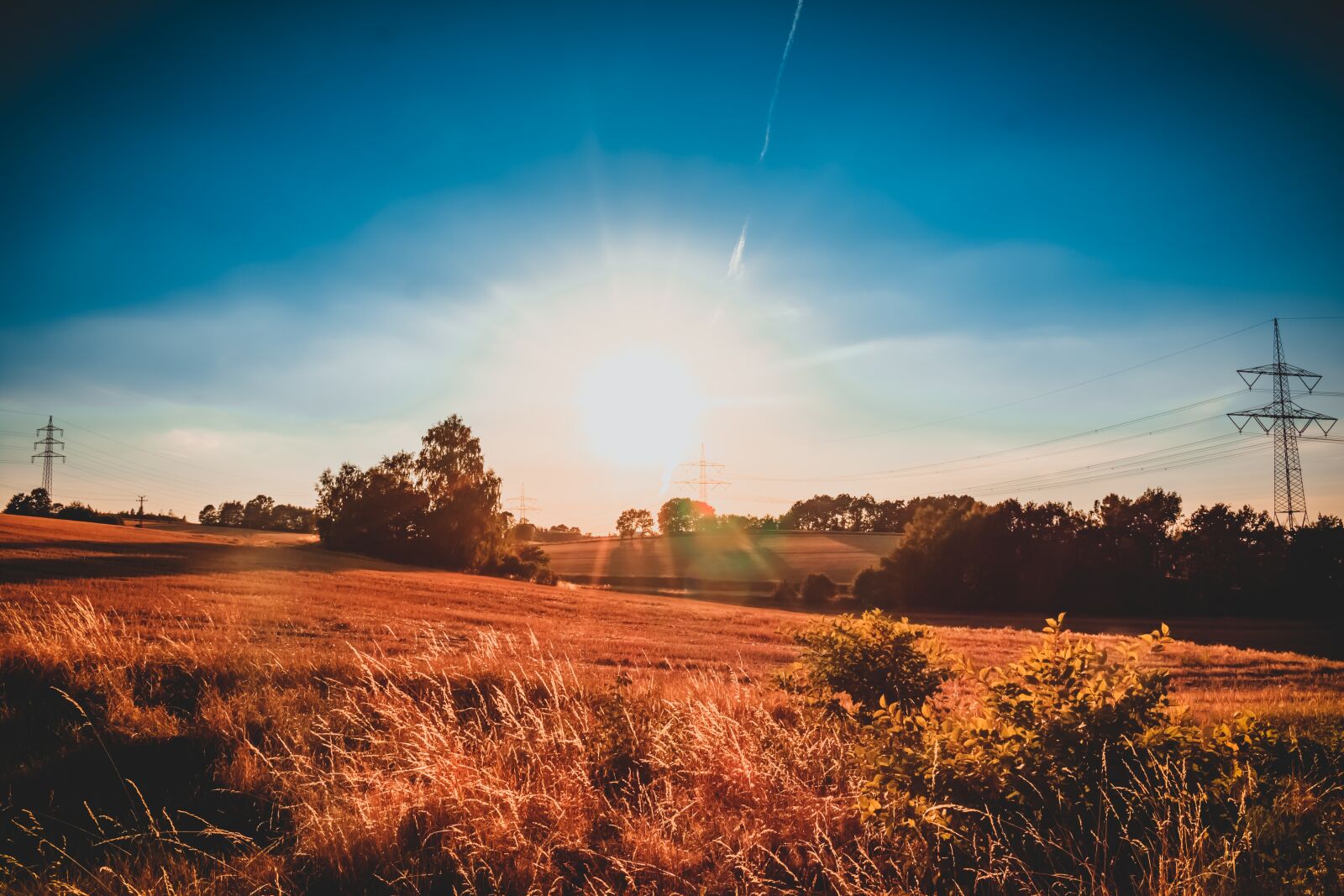 Canon EOS 750D (EOS Rebel T6i / EOS Kiss X8i) sample photo. Field, sun, evening photography