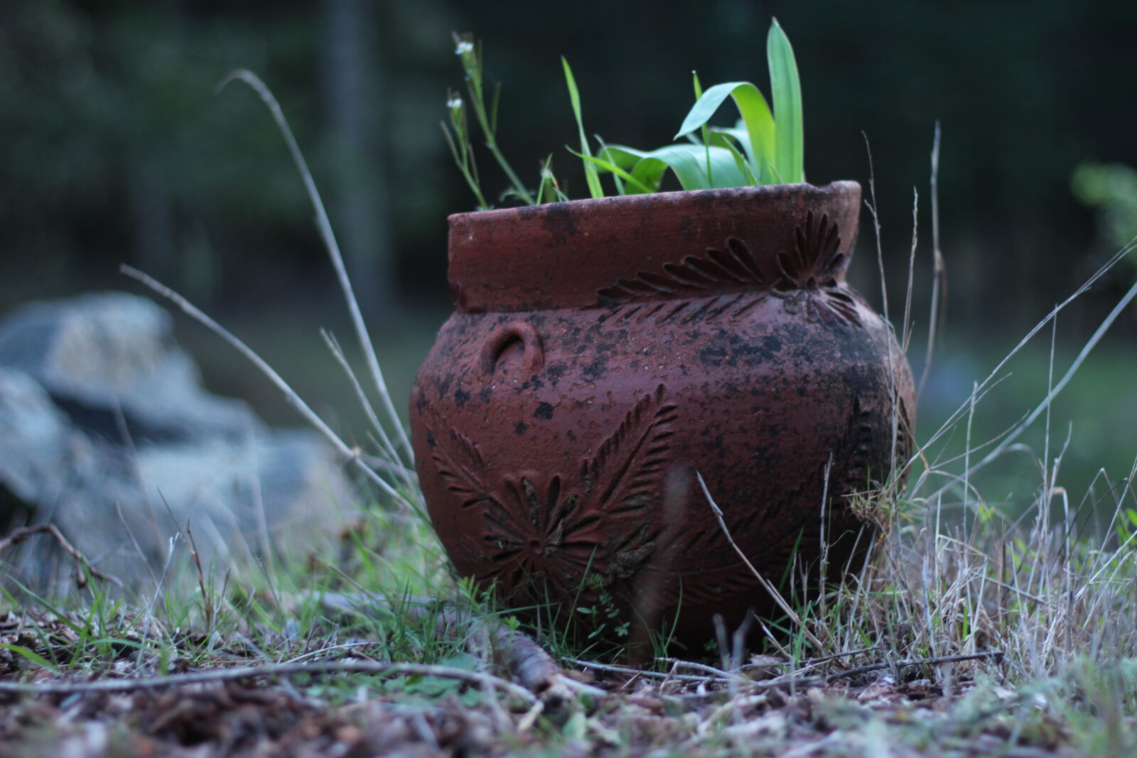 Canon EOS 1200D (EOS Rebel T5 / EOS Kiss X70 / EOS Hi) sample photo. Pot photography