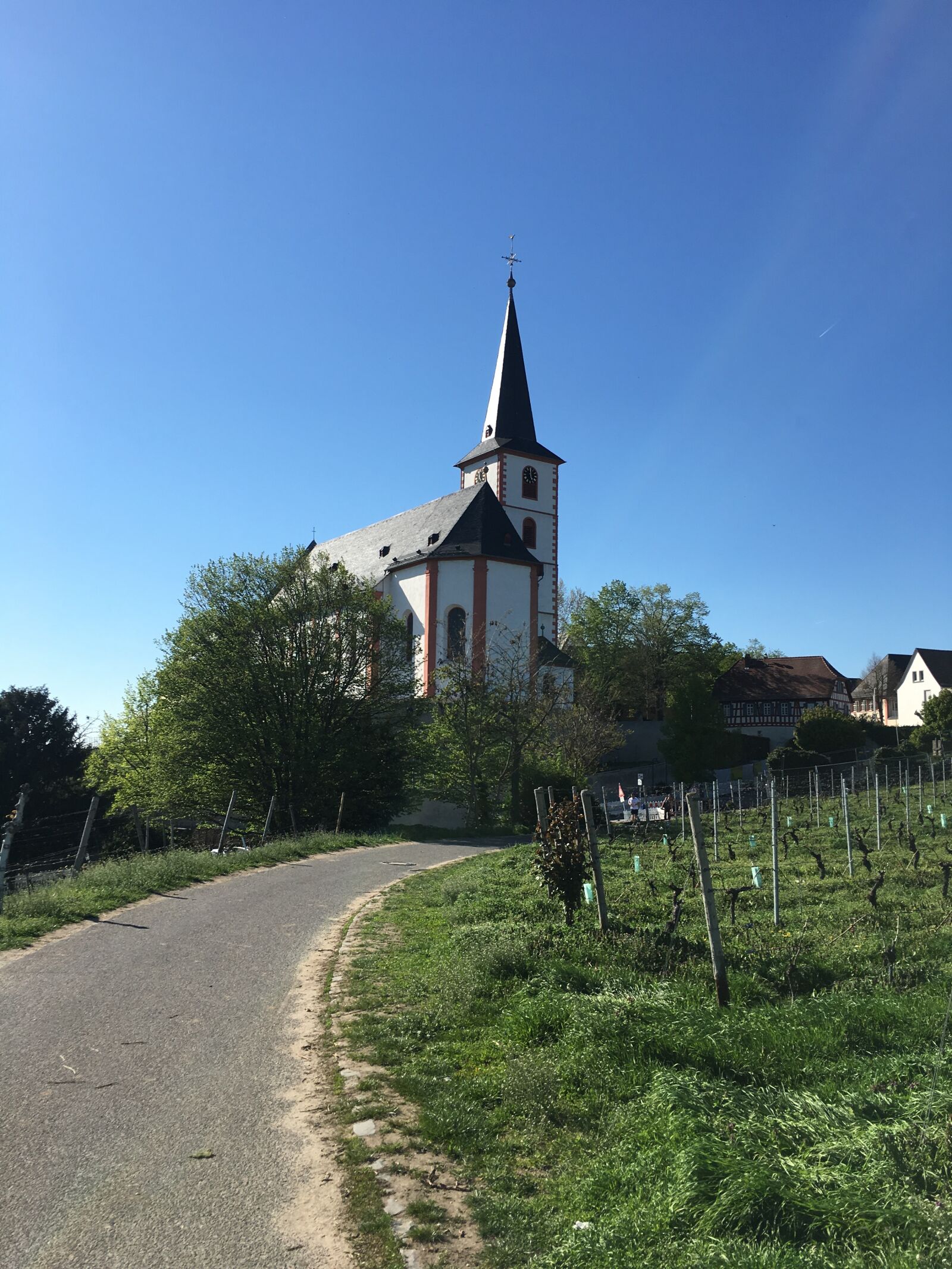 Apple iPhone 6s sample photo. Church, historic center, architecture photography
