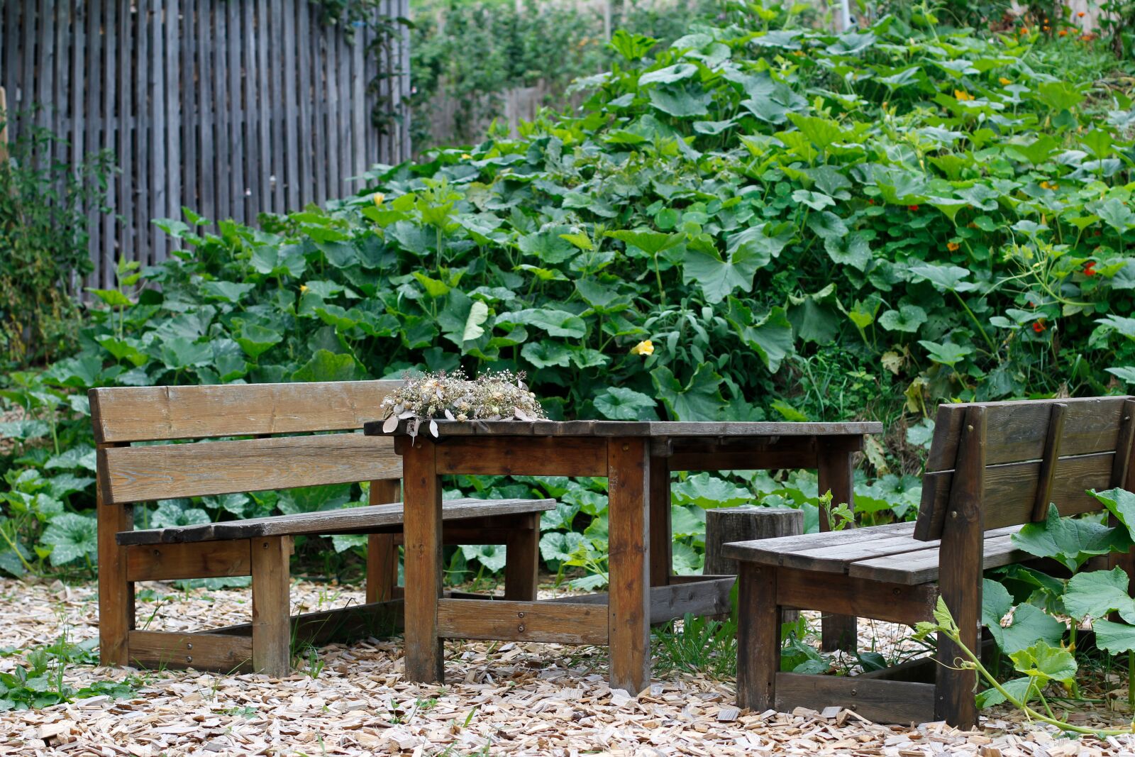 Canon EOS 60D + Canon EF 50mm F1.4 USM sample photo. Garden, garden bench, green photography