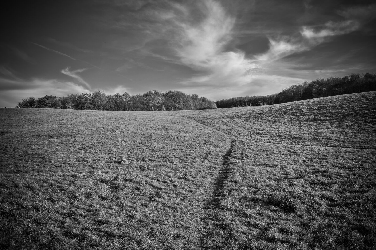 Nikon D3300 sample photo. Landscape, autumn, nature photography