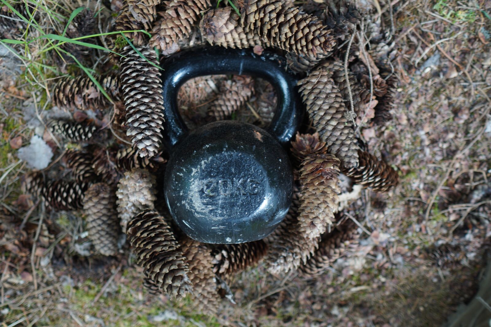 Sony a6400 + Sigma 16mm F1.4 DC DN | C sample photo. Carnivore, kettlebell, trening photography
