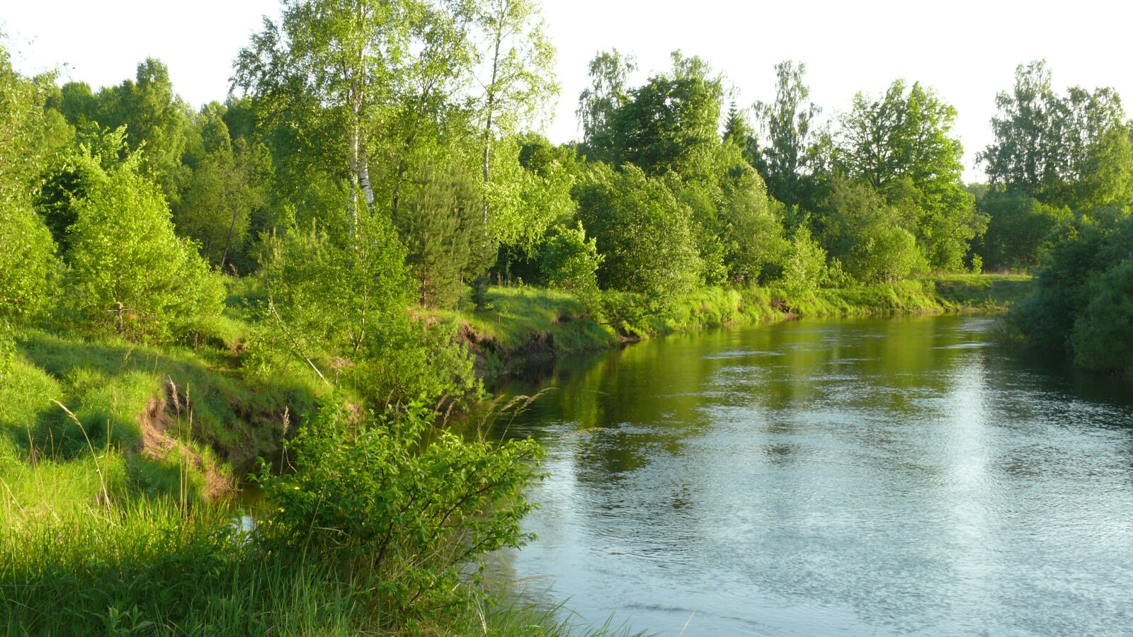 Panasonic DMC-FZ50 sample photo. River, forest, water photography
