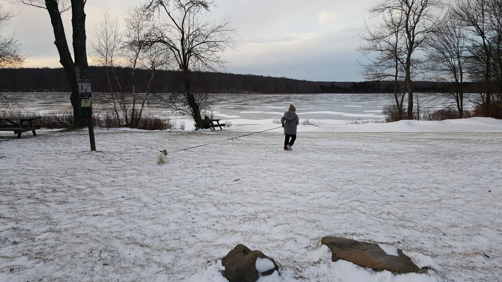 Samsung Galaxy Note5 sample photo. Winter, lake, dog photography