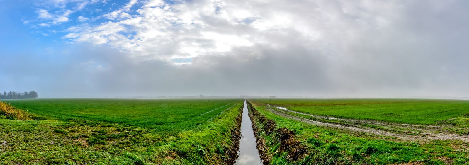 Tokina AT-X Pro 11-16mm F2.8 DX sample photo. Landscape, polder, netherlands photography